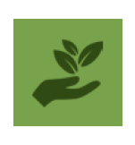 natural capital hover.png natural capital hover.png